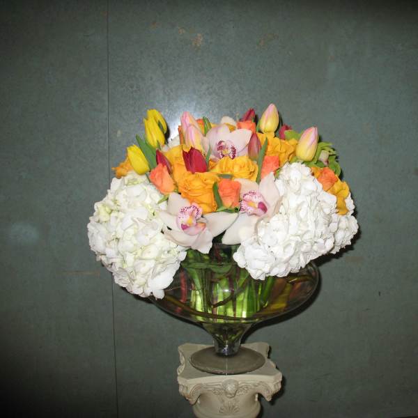 Roses, Tulips everything nice #49