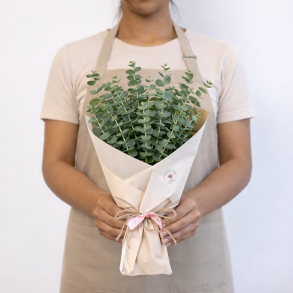 Self Care Eucalyptus Shower Bundle