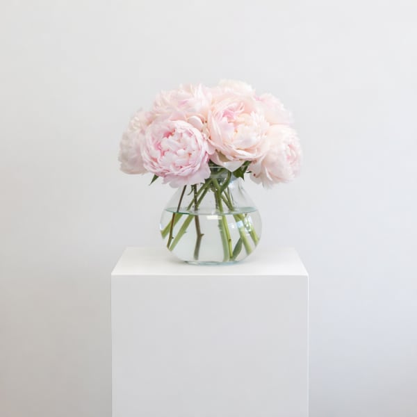 Round glass vase of pale pink peonies arranged in a compact dome on a white pedestal