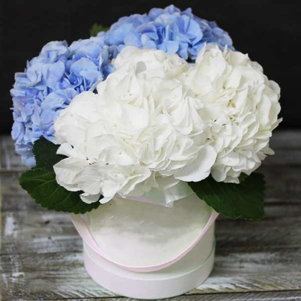 Hat Box With Hydrangea