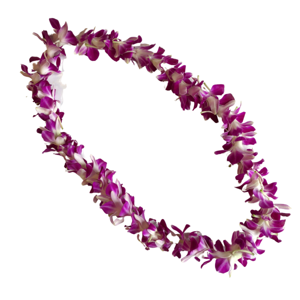 Purple and white orchid lei on a black background