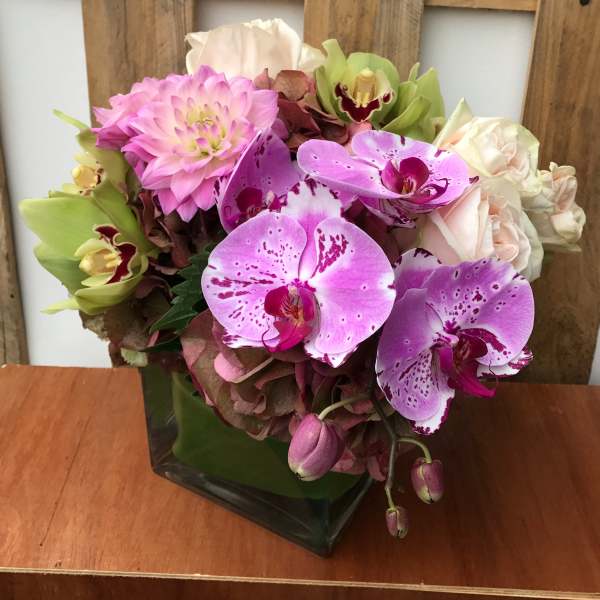 Bouquet of pink orchids and roses in a square glass vase