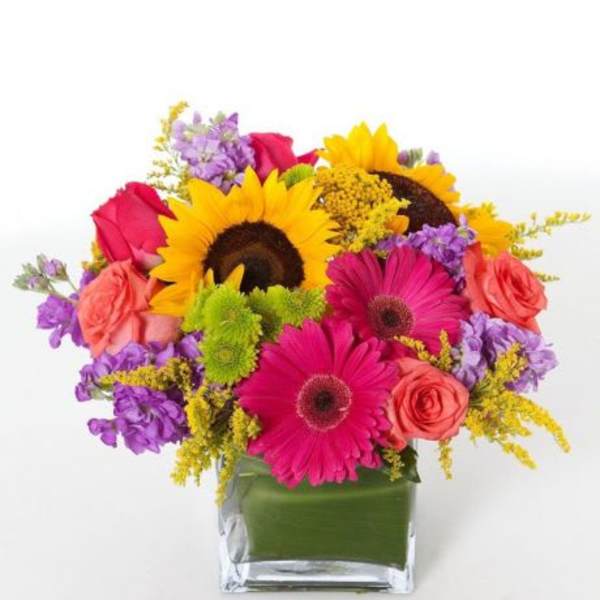 Bright mixed bouquet with sunflowers, gerbera daisies, and roses in a square vase