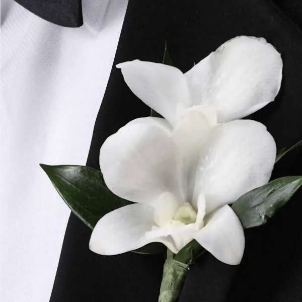 Prom boutonniere white dendrobium orchid