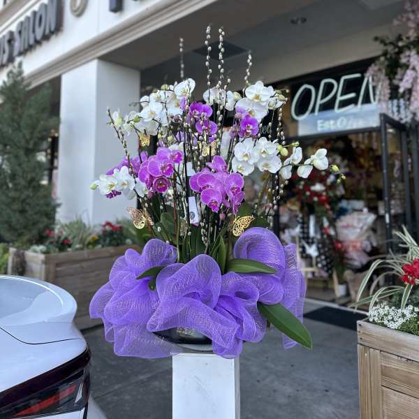 Tall orchid arrangement with purple and white blooms in a purple wrap