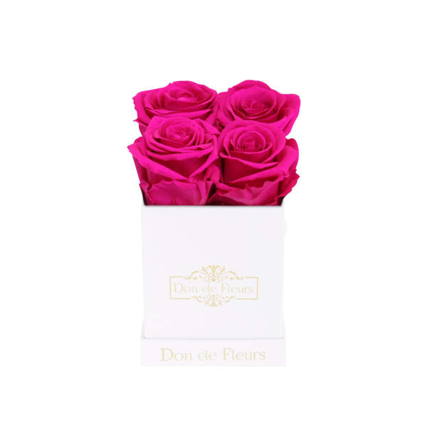 Petite White Square Preserved Rose-Hot Pink