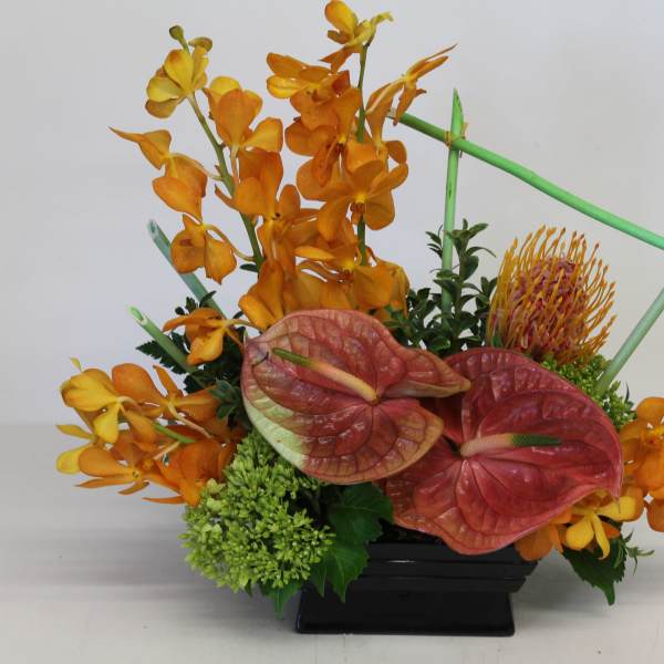 Low tropical arrangement with orange orchids, pink anthuriums, and protea in a black container with green sticks.