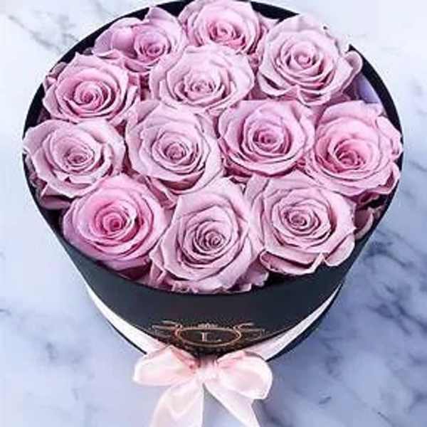 Fresh Rose box dozen