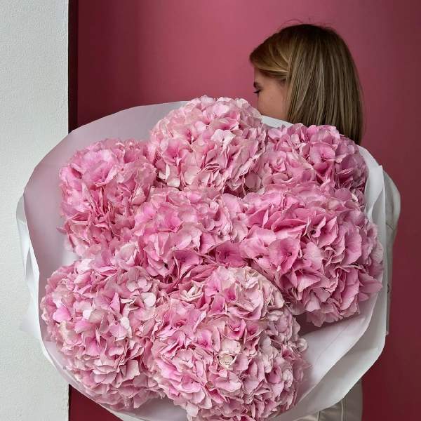 Large bouquet of pink hydrangeas wrapped in white paper