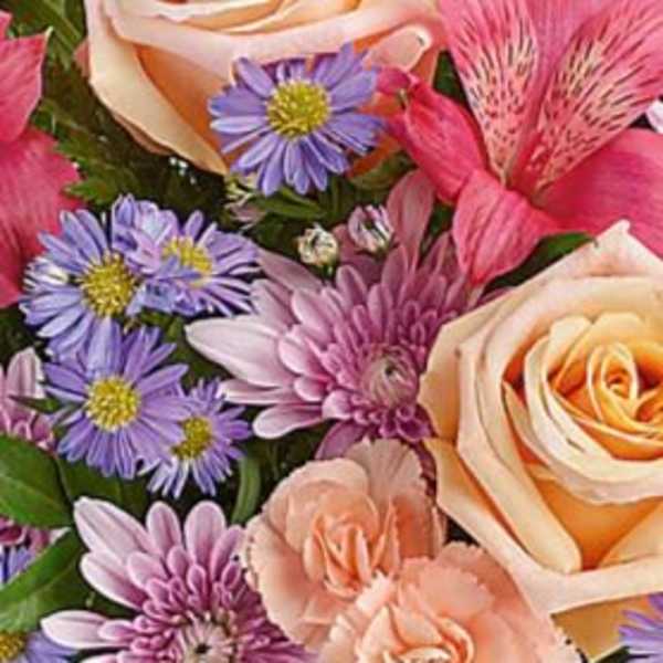 Close-up bouquet of peach roses, pink carnations, and purple daisy-like flowers