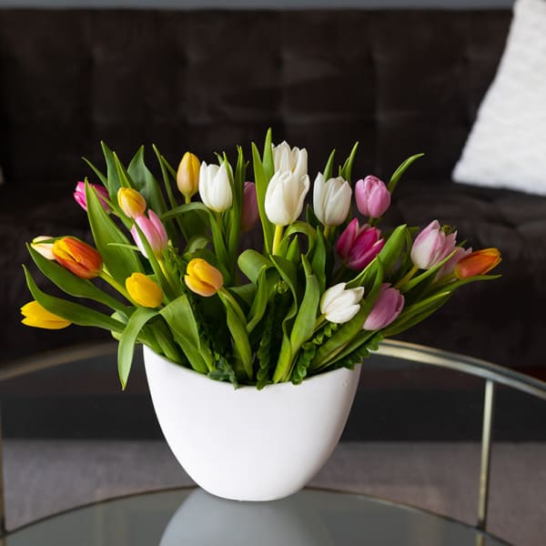 Mixed tulips in pink, yellow, white, and orange in a white vase