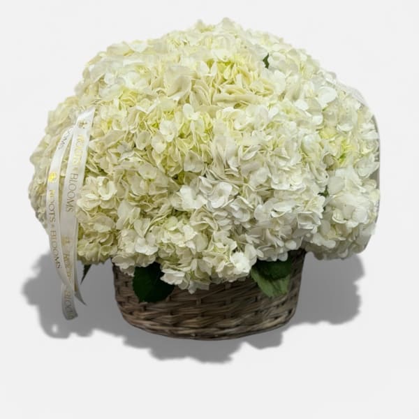 White hydrangea arrangement in a woven basket with a ribbon