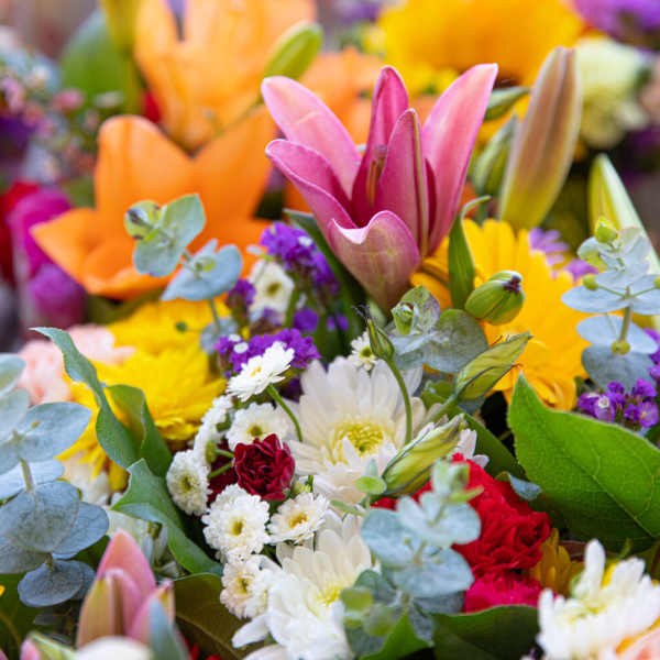 Colorful mixed bouquet with lilies, daisies, and purple filler flowers