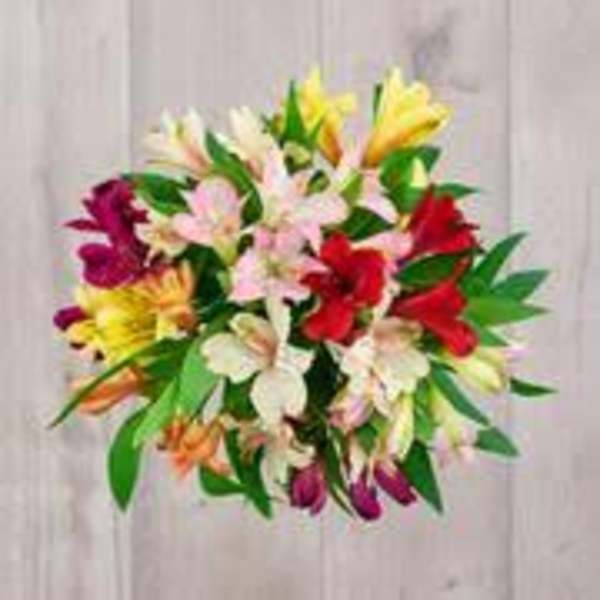 Bouquet of multicolored lilies with green foliage