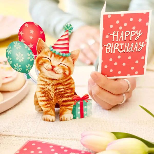 Mini Birthday Kitten Pop-Up Card