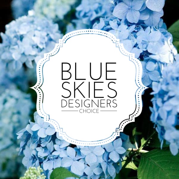 Blue hydrangea blooms with a centered "Blue Skies" label