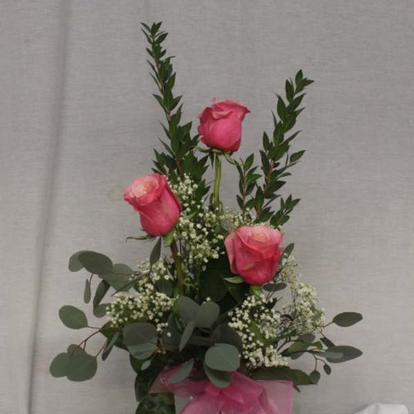Pink roses in a glass vase with baby's breath and a pink ribbon