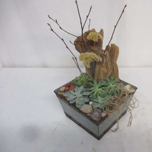Native Succulent Dish Garden
