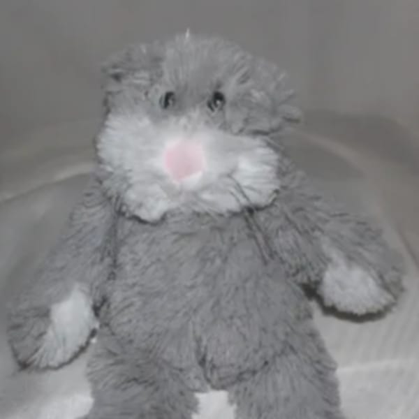 Gray plush bunny with white paws and a pink nose