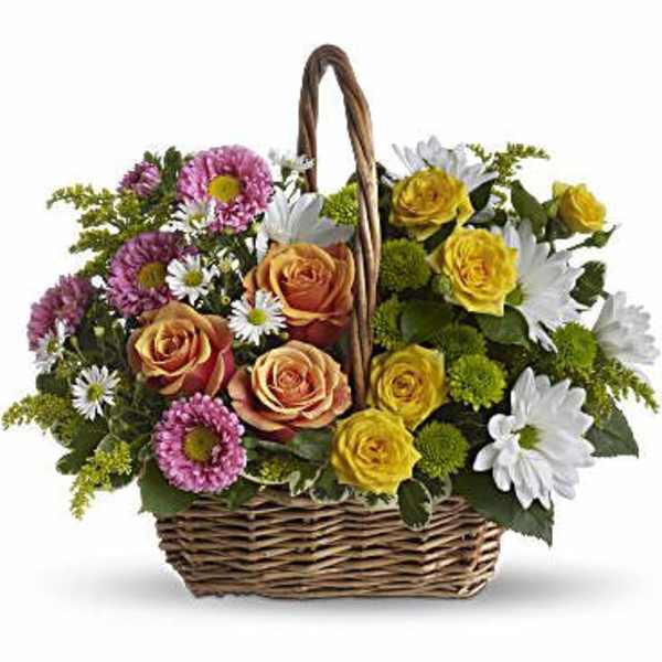Basket of pink, orange, and yellow roses with white daisies