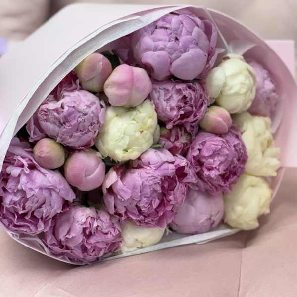 Bouquet of pink and white peonies wrapped in pale paper