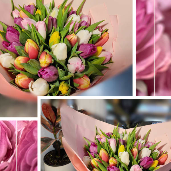 Bouquet of multicolored tulips wrapped in pink paper