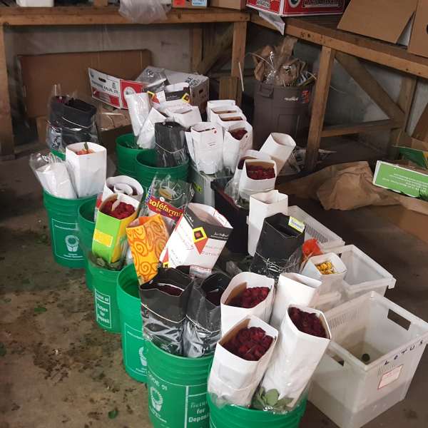 Buckets of wrapped flower bouquets stored in a workroom
