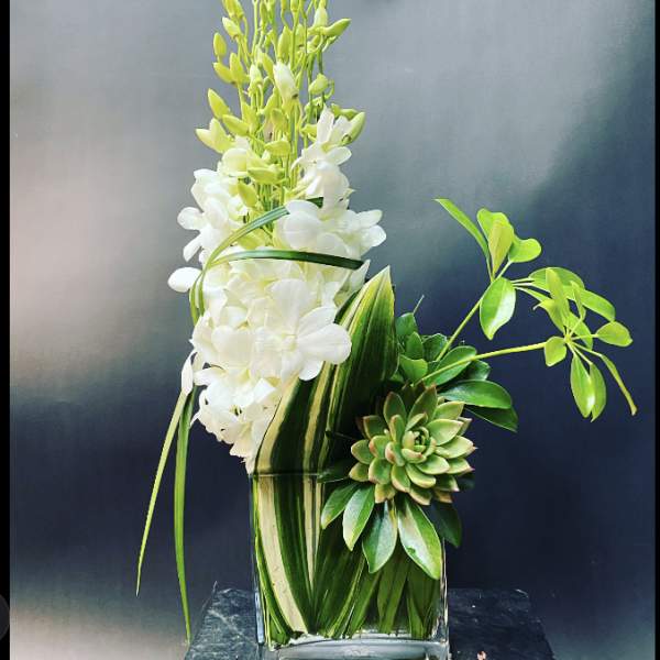 White orchid arrangement with succulents in a glass vase