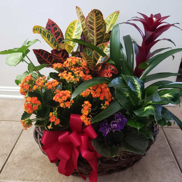 Basket of orange flowers and tropical plants with a red ribbon