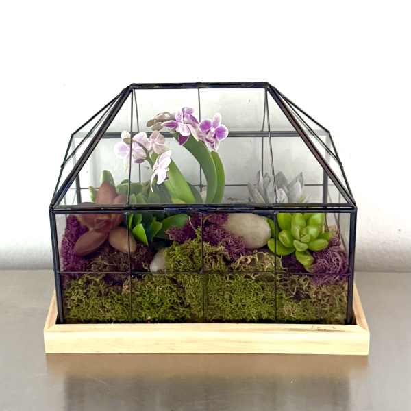 Mini Greenhouse Orchid Terrarium – Modern Glass Succulent Garden