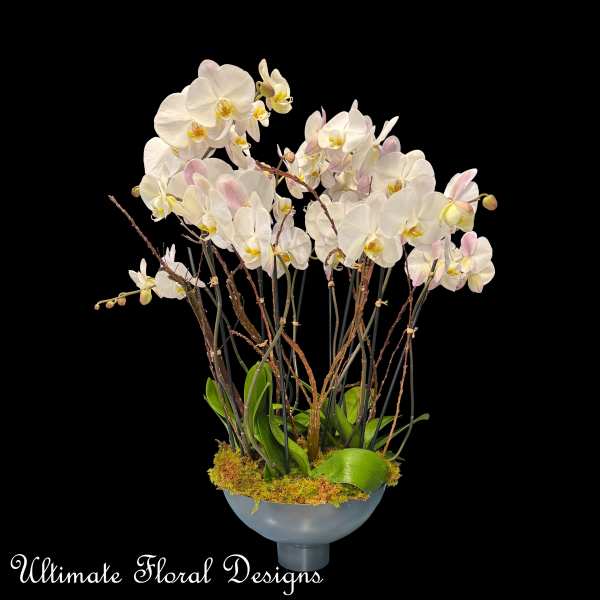 White orchid arrangement in a gray bowl vase with moss