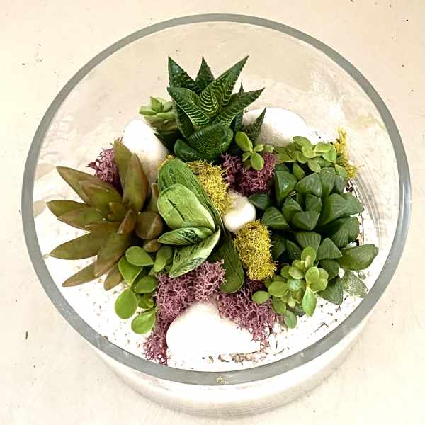 Succulent arrangement in a round glass bowl with white stones