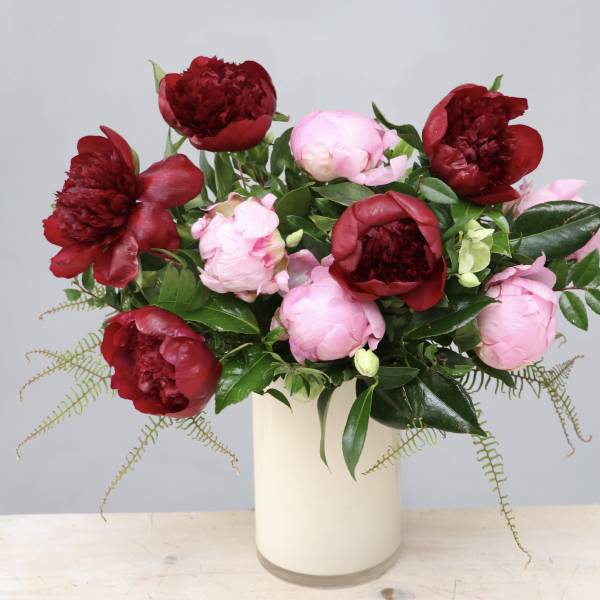 Arrangement of red and pink peonies in a tall cream vase