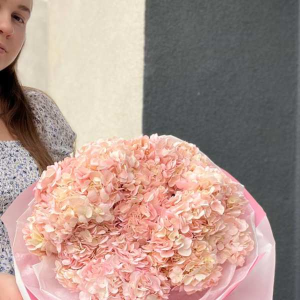 Large bouquet of pale pink hydrangeas wrapped in pink paper