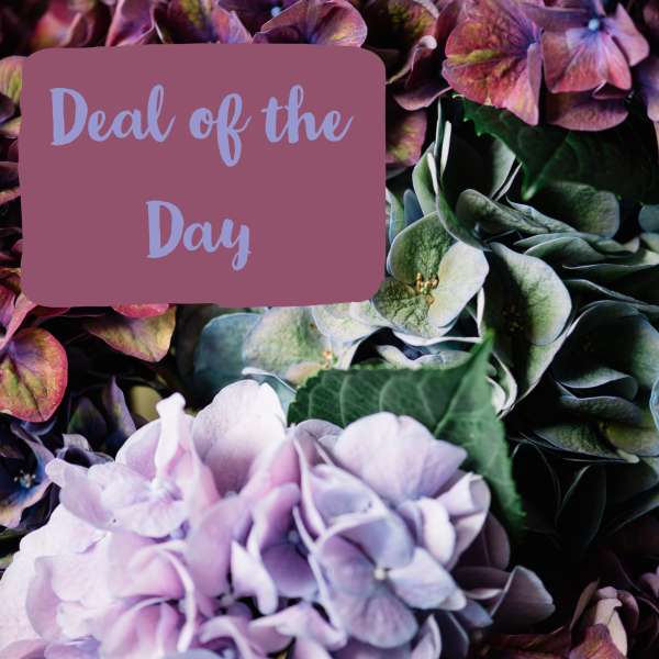 Close-up of purple and green hydrangea blooms with a "Deal of the Day" sign