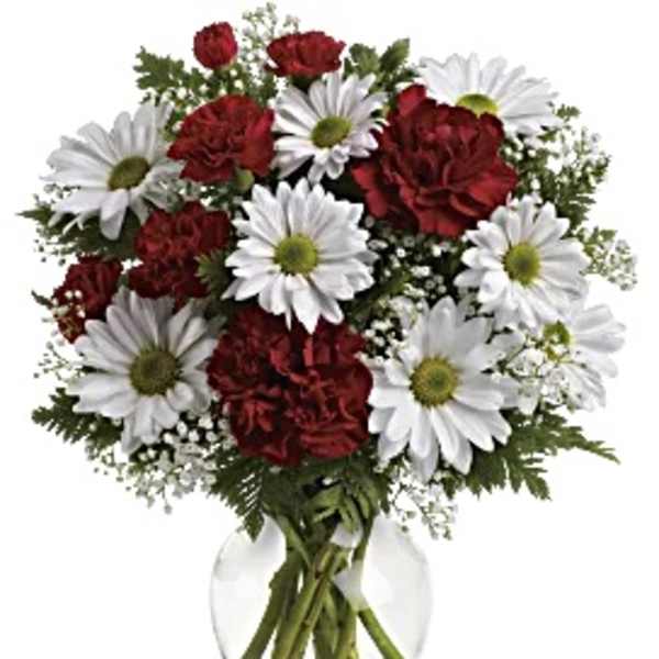 Red carnations and white daisies in a clear glass vase