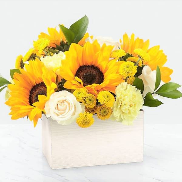 Sunflower and white rose arrangement in a white box