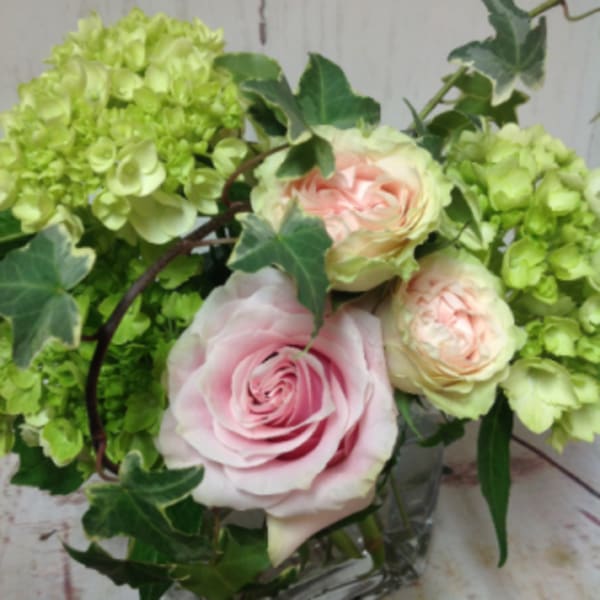 Short arrangement of pale pink roses and green hydrangeas in a clear glass cube vase with trailing ivy