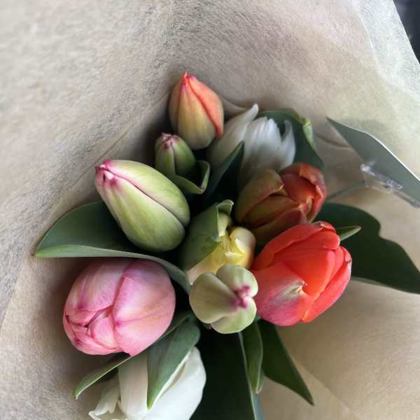 Locally Grown Tulips