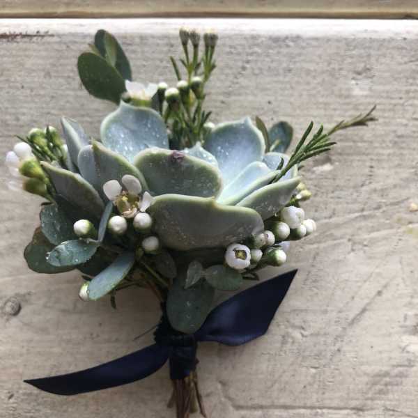 Small succulent boutonniere with white buds and a navy ribbon