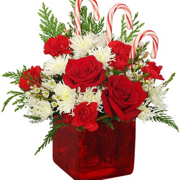Red and white arrangement with roses, carnations, mums and candy canes in a red glass cube vase