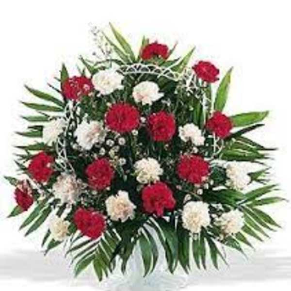 Red and white carnation arrangement with palm leaves in a white vase