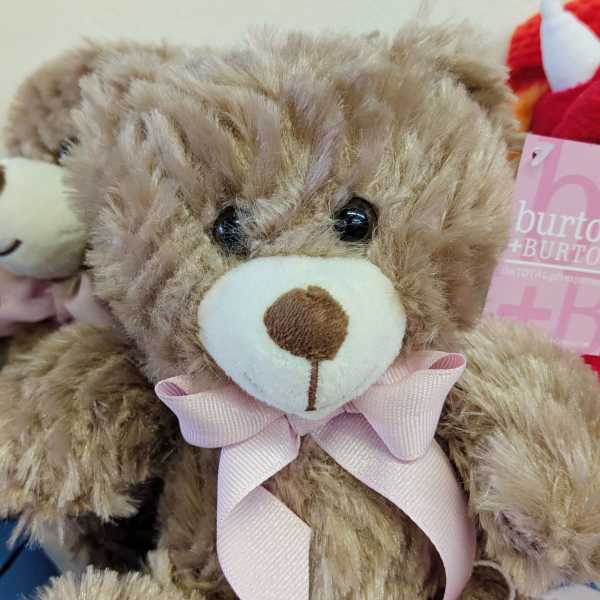 Brown teddy bear with a pink ribbon bow