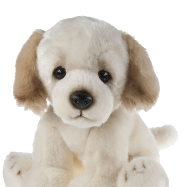 Plush puppy with cream fur and tan ears sitting on a white background