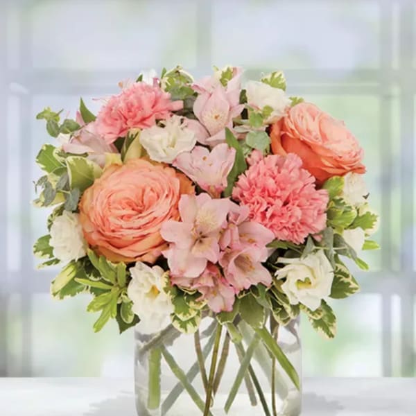 AVA Sweetest Surprise Pastel