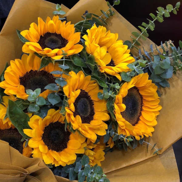 Bouquet of yellow sunflowers wrapped in brown paper