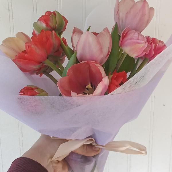 Bouquet of pink and red tulips wrapped in lavender paper