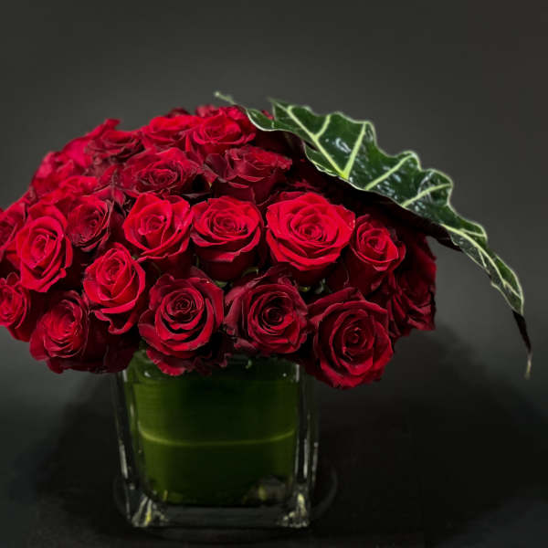 Red roses arranged in a square glass vase with a large dark green leaf