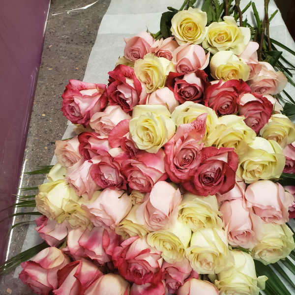 Large bouquet of pink, red, and pale yellow roses