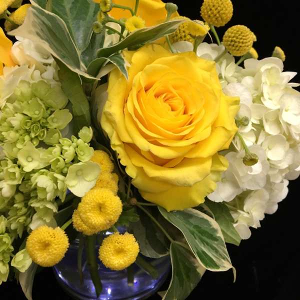 Yellow roses with white hydrangeas and round yellow blooms in a blue glass vase